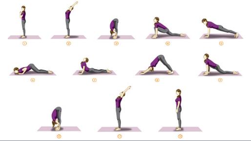 Top 10 Khóa Học Yoga Cho Dân Văn Phòng