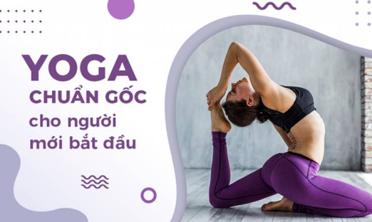 Top 10 Khóa Học Yoga Cho Dân Văn Phòng