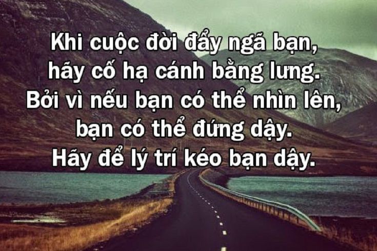 100 Câu Nói Hay Về Cuộc Sống