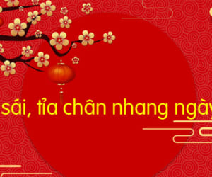 Bao sái là gì - Những lưu ý khi bao sái bát hương